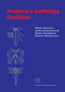 Anatómia a morfológia živočíchov